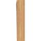 Ekena Millwork Westlake Traditional Smooth Bracket, Western Red Cedar, 3 1/2"W x 18"D x 18"H BKT04X18X18WTL01SWR - alternate 4